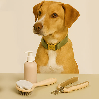 Grooming & Wellness